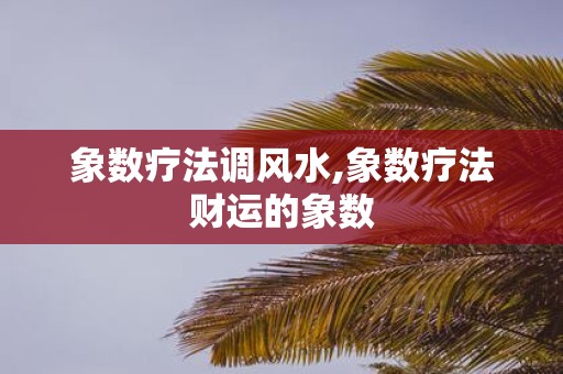 象数疗法调风水,象数疗法财运的象数