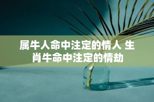 属牛人命中注定的情人 生肖牛命中注定的情劫