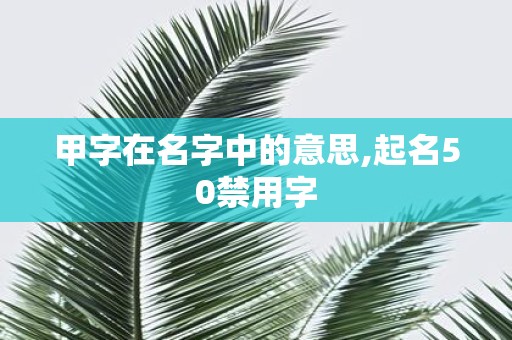 甲字在名字中的意思,起名50禁用字