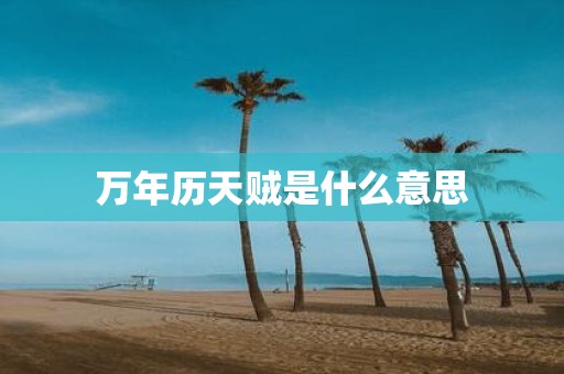 万年历天贼是什么意思