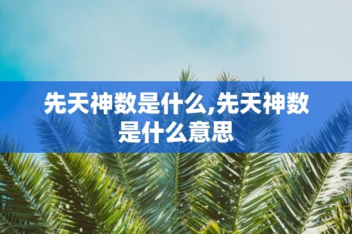 先天神数是什么,先天神数是什么意思