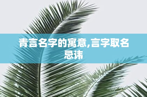 青言名字的寓意,言字取名忌讳