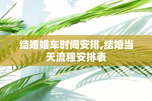 结婚婚车时间安排,结婚当天流程安排表