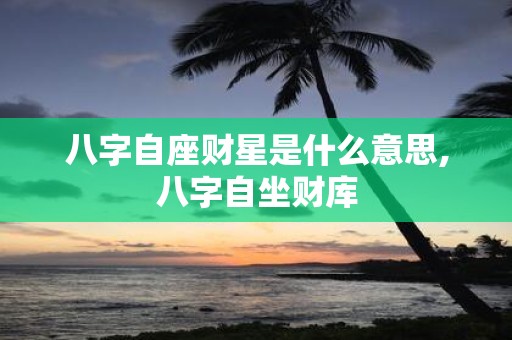 八字自座财星是什么意思,八字自坐财库