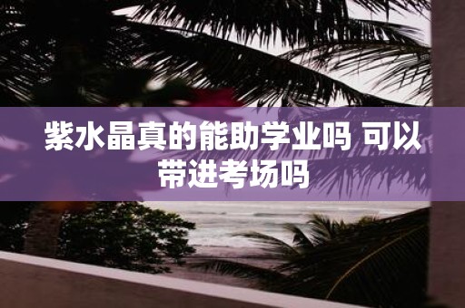 紫水晶真的能助学业吗 可以带进考场吗