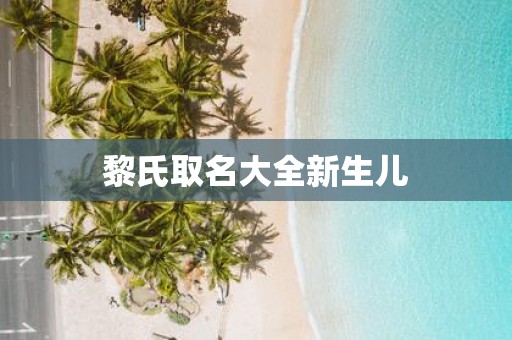 黎氏取名大全新生儿