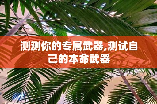 测测你的专属武器,测试自己的本命武器