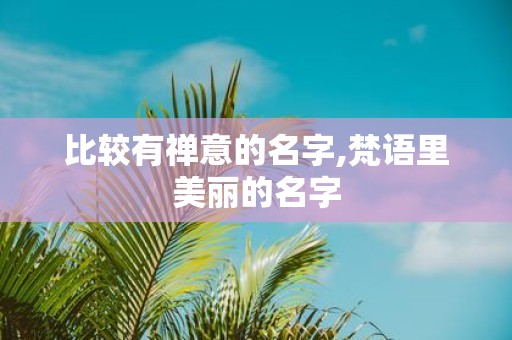 比较有禅意的名字,梵语里美丽的名字