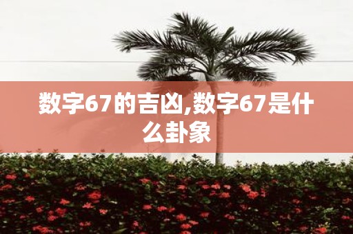 数字67的吉凶,数字67是什么卦象