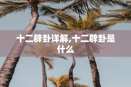 十二辟卦详解,十二辟卦是什么