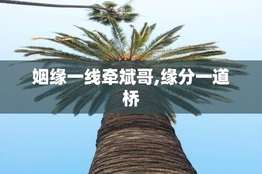 姻缘一线牵斌哥,缘分一道桥