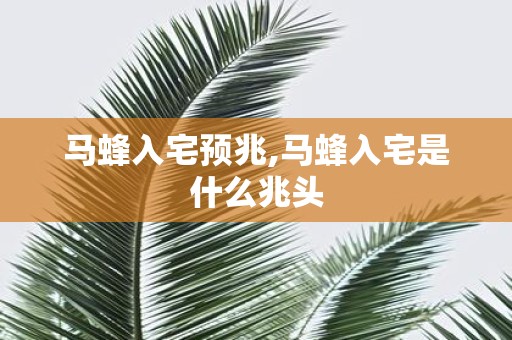 马蜂入宅预兆,马蜂入宅是什么兆头