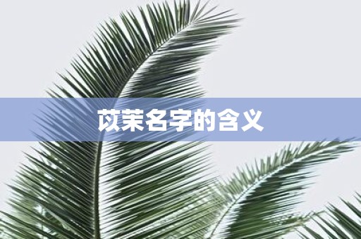 苡茉名字的含义