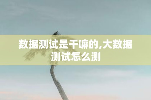 数据测试是干嘛的,大数据测试怎么测
