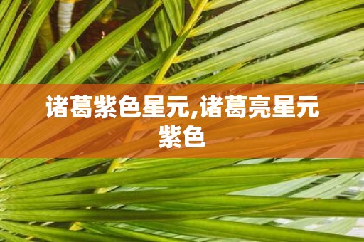 诸葛紫色星元,诸葛亮星元紫色