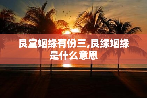 良堂姻缘有份三,良缘姻缘是什么意思
