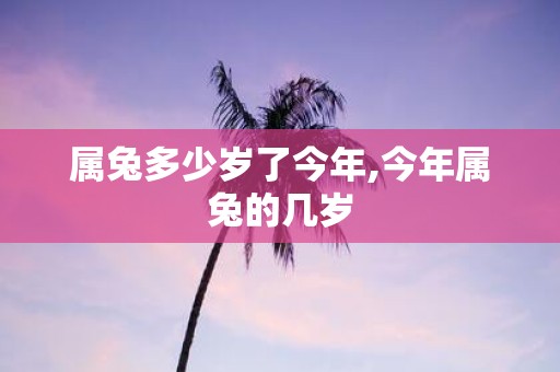 属兔多少岁了今年,今年属兔的几岁