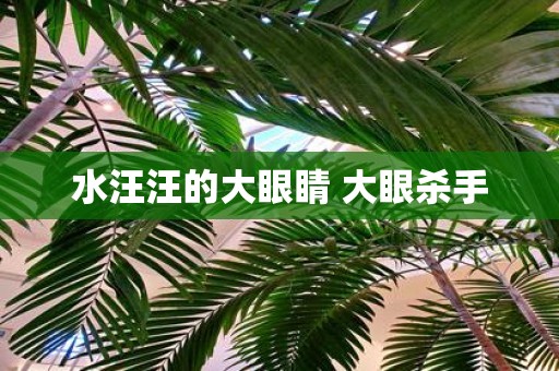 水汪汪的大眼睛 大眼杀手