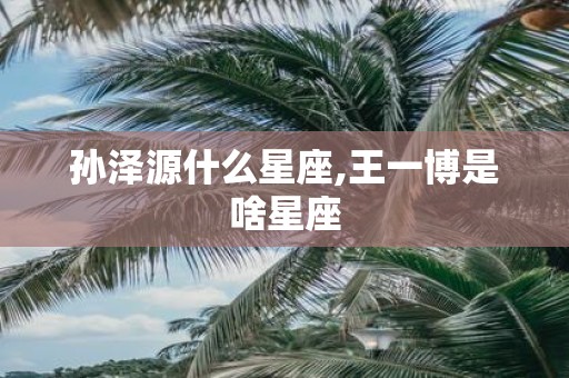 孙泽源什么星座,王一博是啥星座