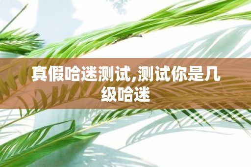 真假哈迷测试,测试你是几级哈迷