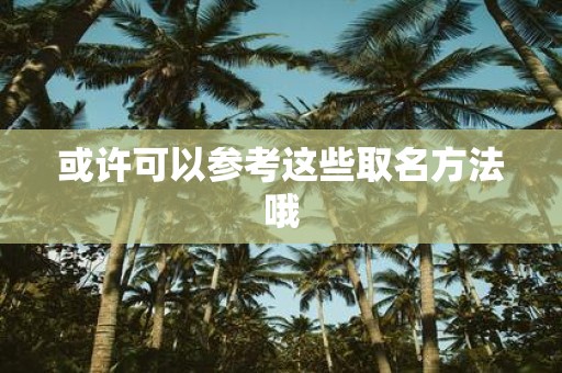 或许可以参考这些取名方法哦