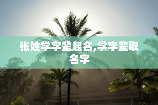 张姓学字辈起名,学字辈取名字
