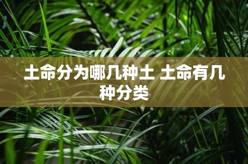 土命分为哪几种土 土命有几种分类