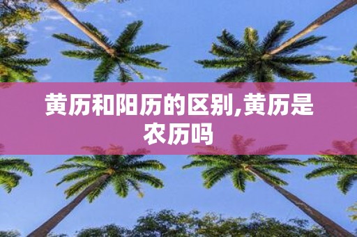 黄历和阳历的区别,黄历是农历吗