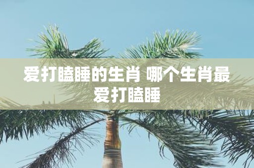 爱打瞌睡的生肖 哪个生肖最爱打瞌睡