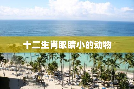 十二生肖眼睛小的动物