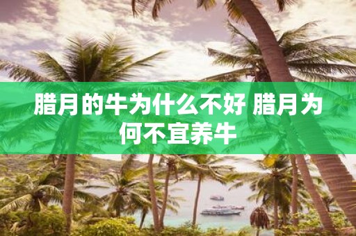 腊月的牛为什么不好 腊月为何不宜养牛