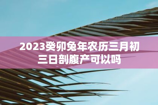 2025癸卯蛇年农历三月初三日剖腹产可以吗