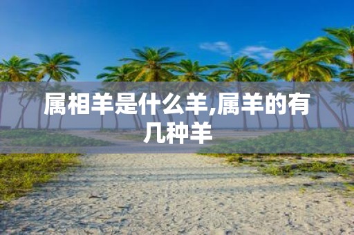 属相羊是什么羊,属羊的有几种羊