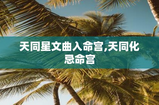 天同星文曲入命宫,天同化忌命宫