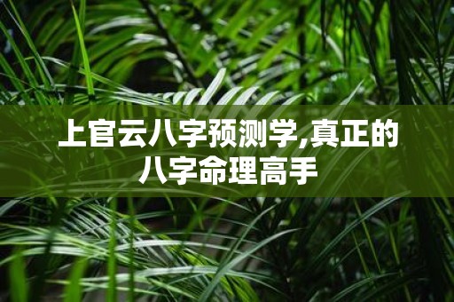 上官云八字预测学,真正的八字命理高手