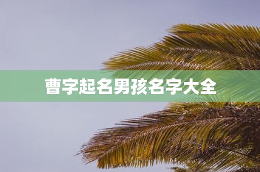 曹字起名男孩名字大全