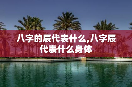 八字的辰代表什么,八字辰代表什么身体