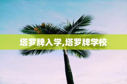 塔罗牌入学,塔罗牌学校