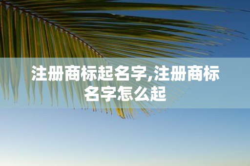 注册商标起名字,注册商标名字怎么起