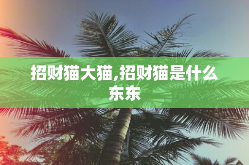招财猫大猫,招财猫是什么东东