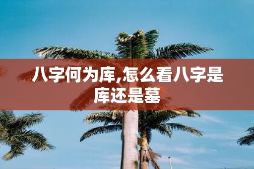 八字何为库,怎么看八字是库还是墓