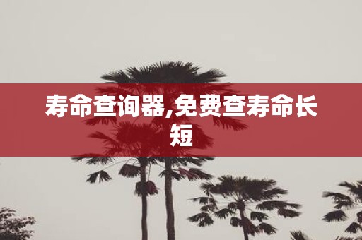 寿命查询器,免费查寿命长短