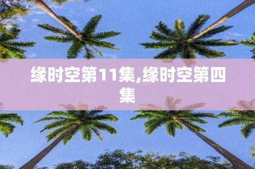 缘时空第11集,缘时空第四集