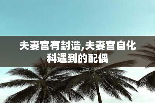 夫妻宫有封诰,夫妻宫自化科遇到的配偶