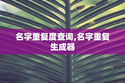 名字重复度查询,名字重复生成器