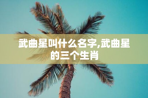 武曲星叫什么名字,武曲星的三个生肖