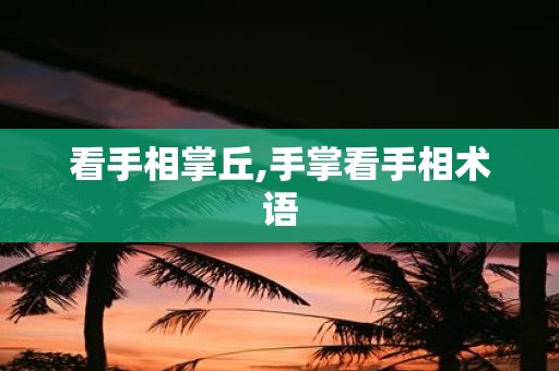 看手相掌丘,手掌看手相术语