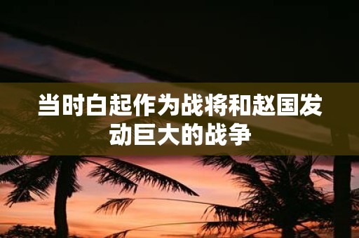 当时白起作为战将和赵国发动巨大的战争