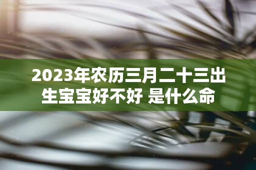 2025年农历三月二十三出生宝宝好不好 是什么命