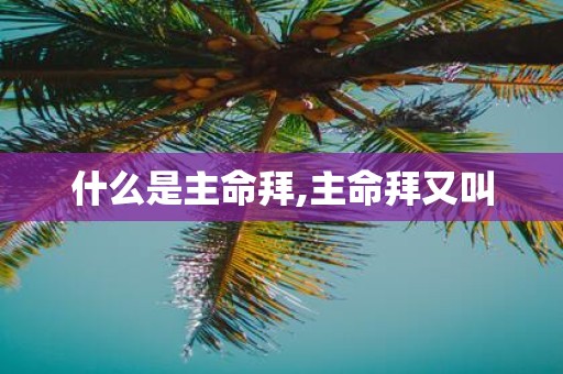 什么是主命拜,主命拜又叫
